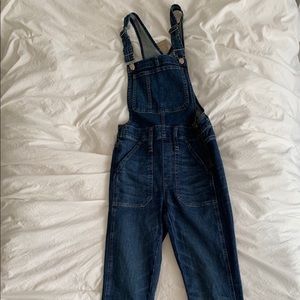 Madewell Dark Wash Skinny Overalls
